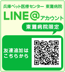 LINEアカウント